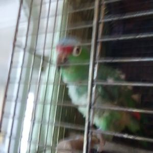 Meet your Posher, Beverly